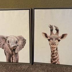 Picture Frames 