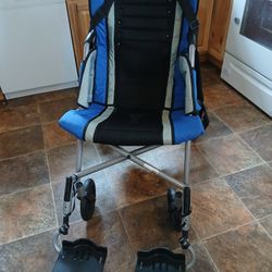 Strive Adapted special Needs to stroller.
