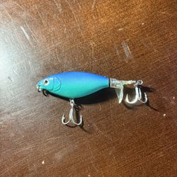 Custom Painted Whopper Plopper