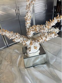 Decorative  coral decore
