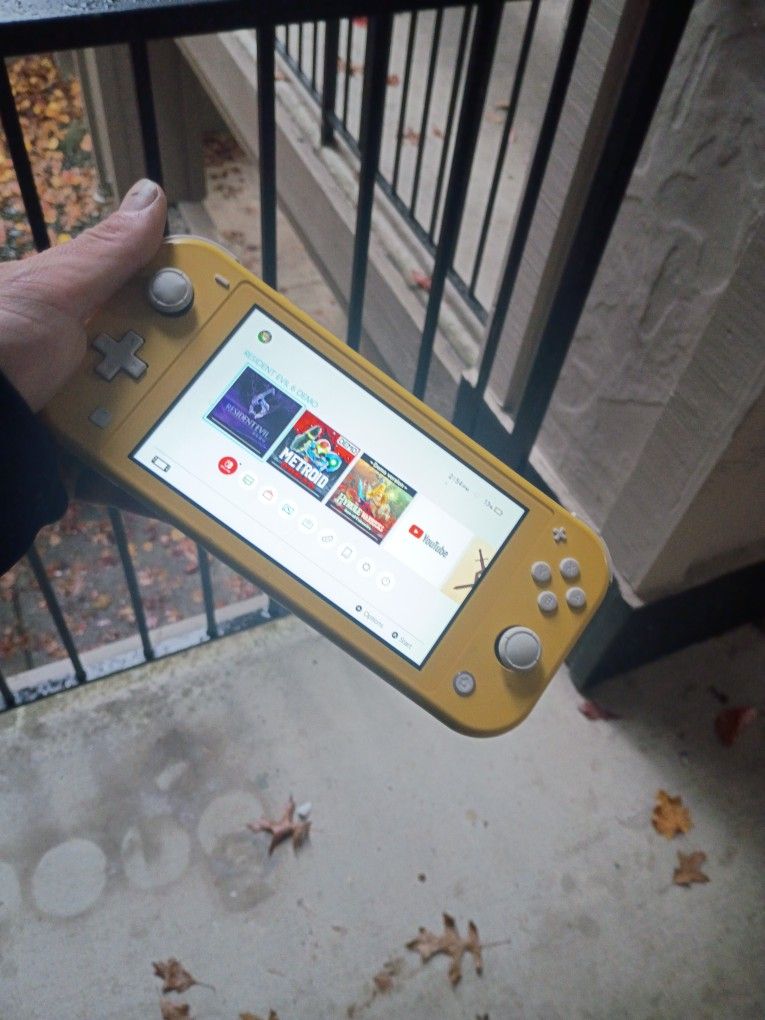 Nintendo Switch Lite