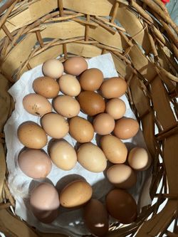 Fresh eggs for sale