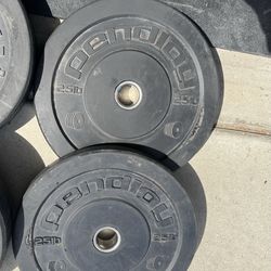 25LB Bumper Plates