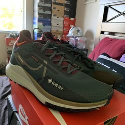 Nike. New Running Shoes. $105