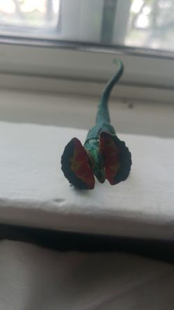 Repaint dilophosaurus Jurassic Park