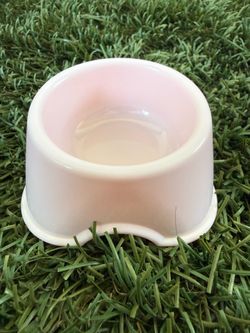 Food bowl