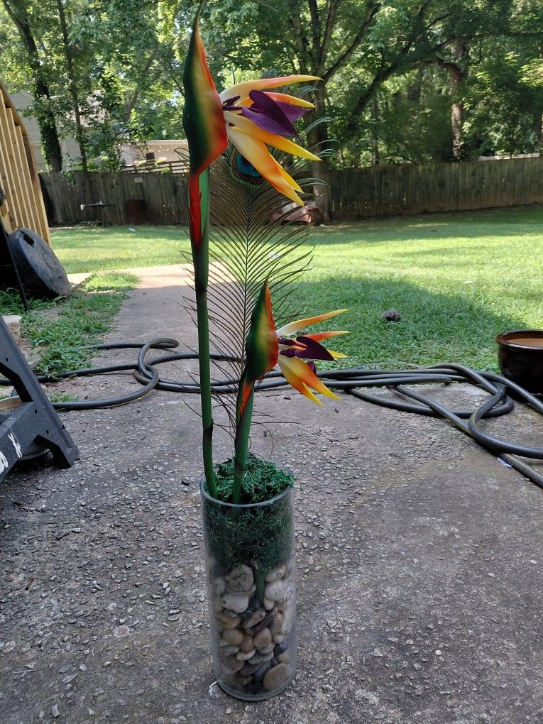 Birds Of Paradise Flower Arrangement Flora Vase