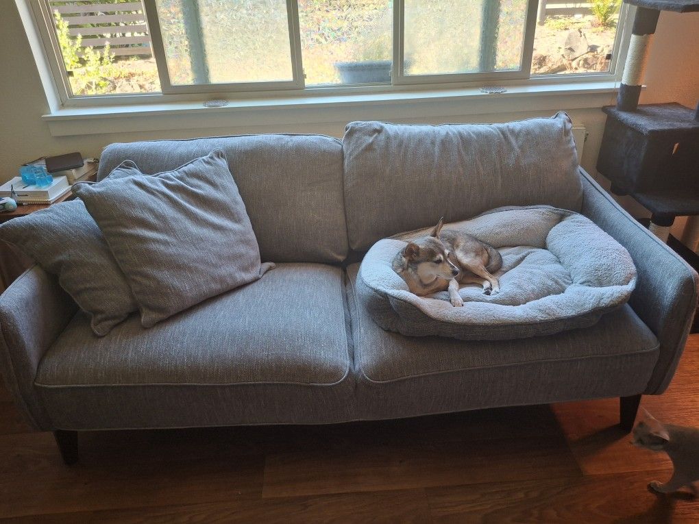 Free Couch