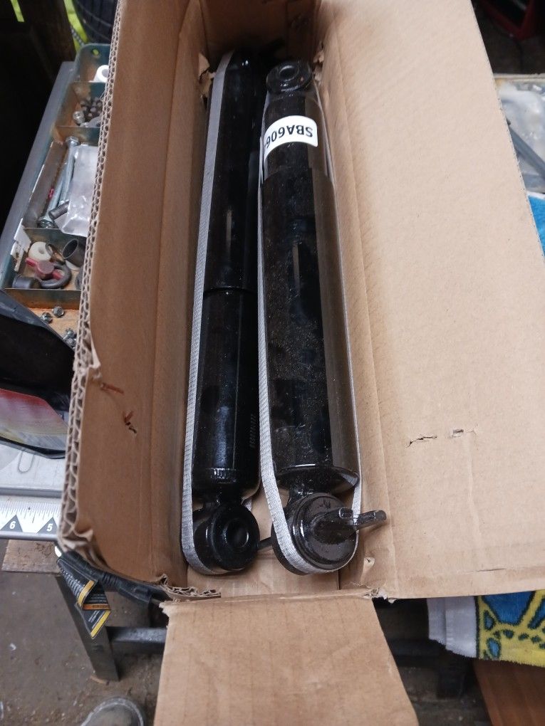 Rear Shock Absorbers
