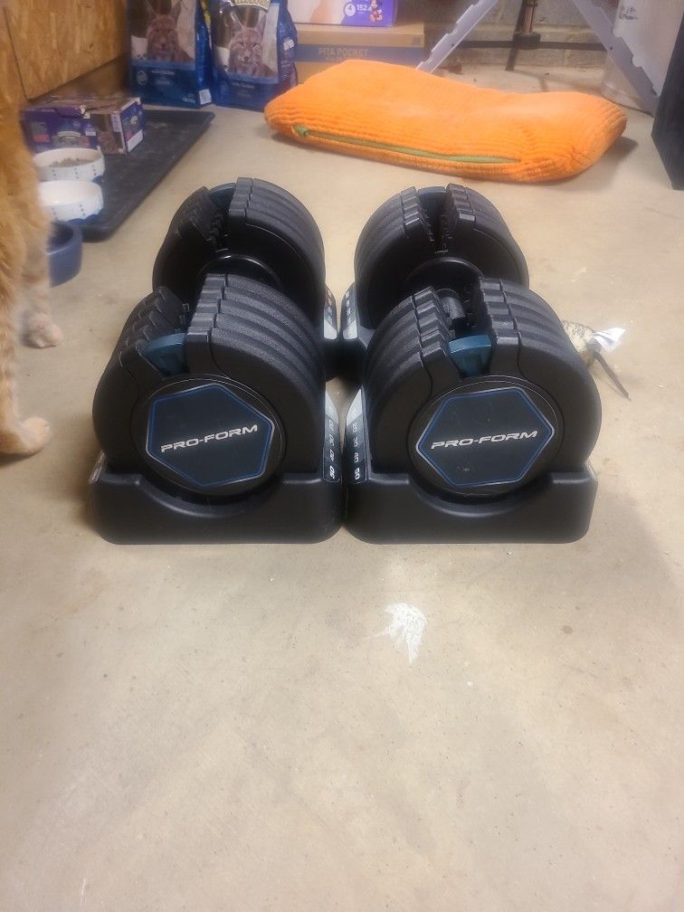 Pro-Form Adjustable Dumbells