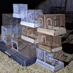 Lot of Bird Cages 