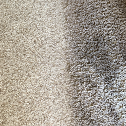 Carpet rug