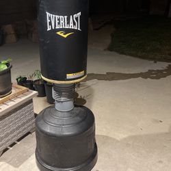 Everlast Punching Bag