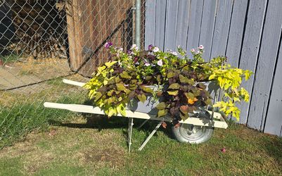 Planter
