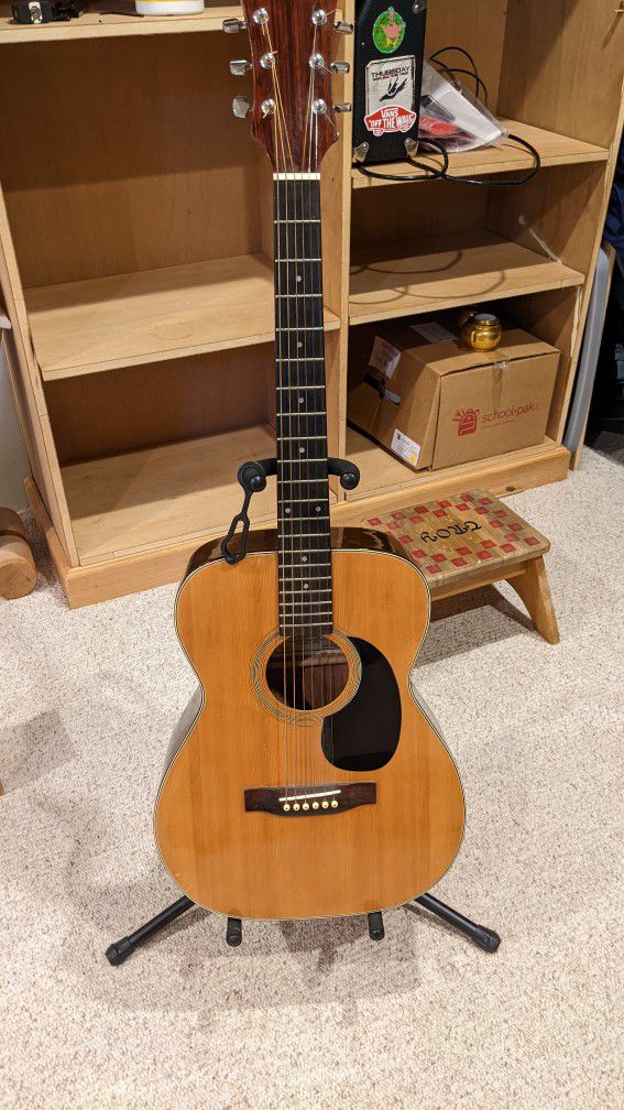Epiphone A-10 Acoustic Guitar