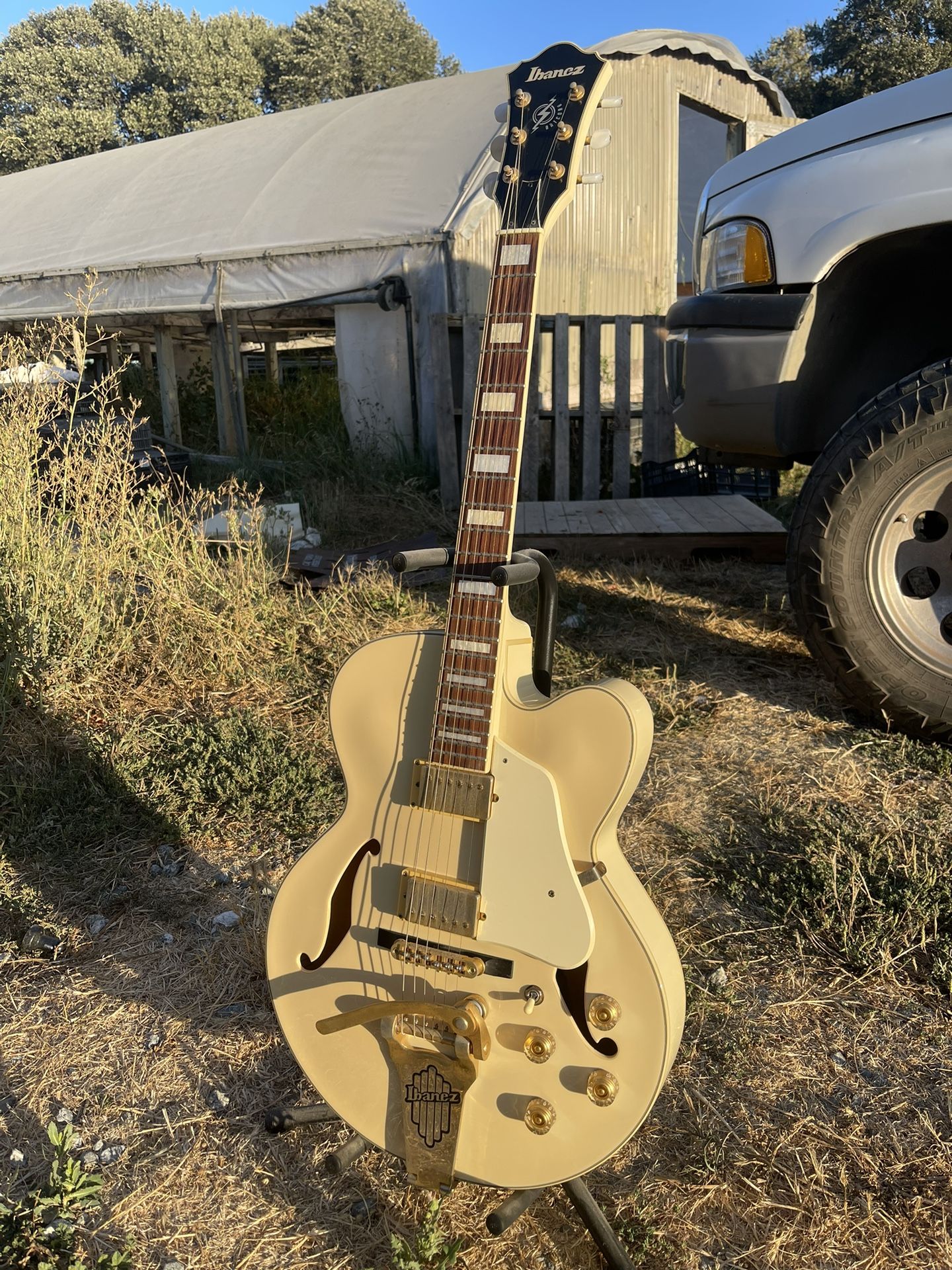 Ibanez AF75TDG Guitar