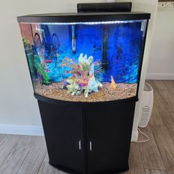 Fish Tank & Stand