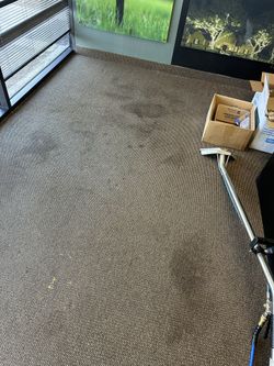Lavado De Sofá Y Alfombras