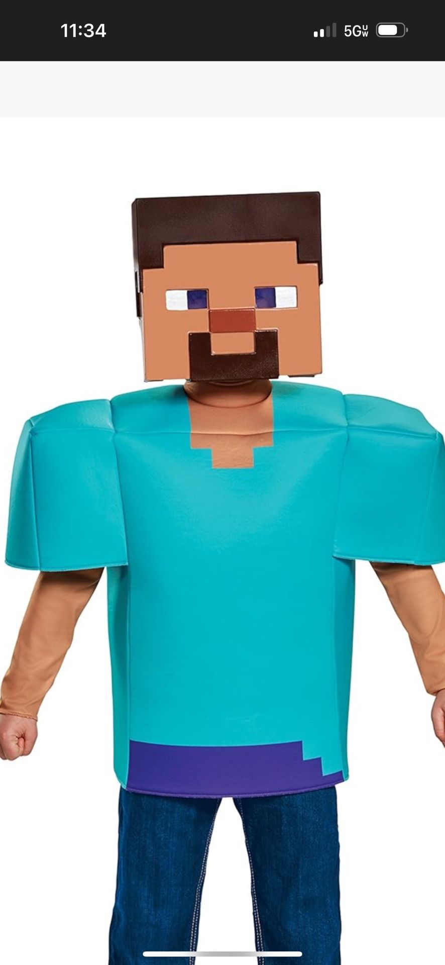 Minecraft Steve 