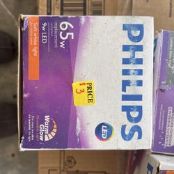 Philips Indoor Outdoor  Light