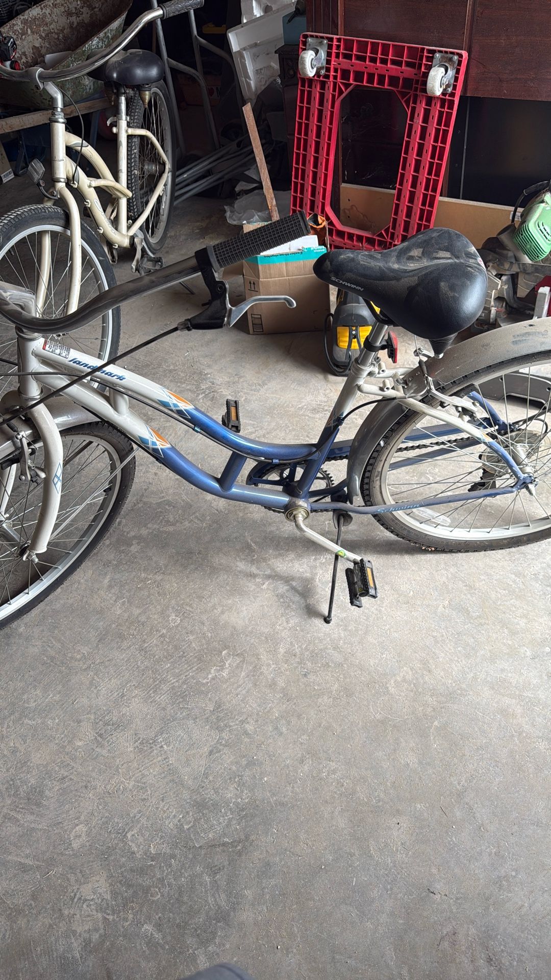 Beach Cruiser
