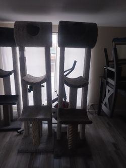 Cat Furniture