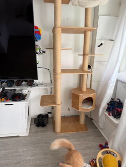 Cat tree
