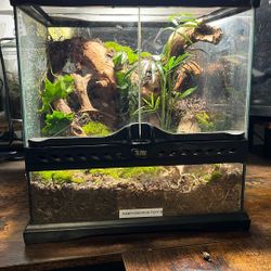 12x12x12 Bioactive Terrarium 