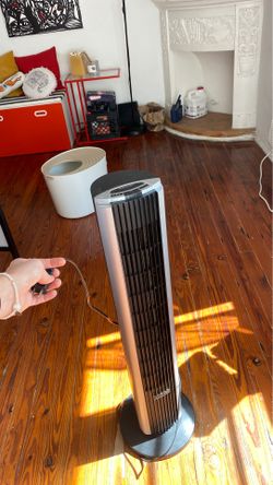 Fan