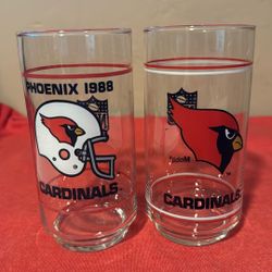 Vintage 1988 Phoenix Cardinals Mobile Glasses