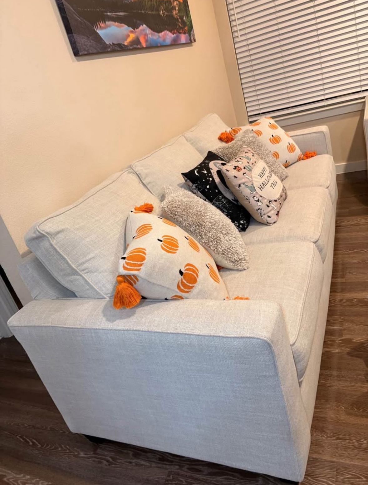 Light Gray Modern Sofa & Loveseat Set, Excellent Condition