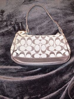 Fashion/ Purse