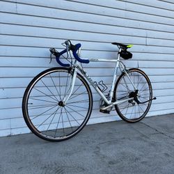 Trek Road Bike