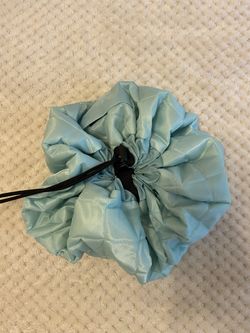 a lay/n/go makeup carrier