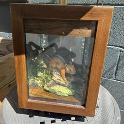 Old Shadow Box Squirrel Lamp 