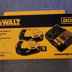 Dewalt Battery Kit 