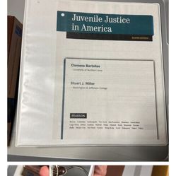 Juvenile Justice in America EIGHTH EDITION