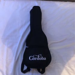 ukulele with picks and tuner