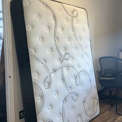 Queen Mattress With Box Spring 