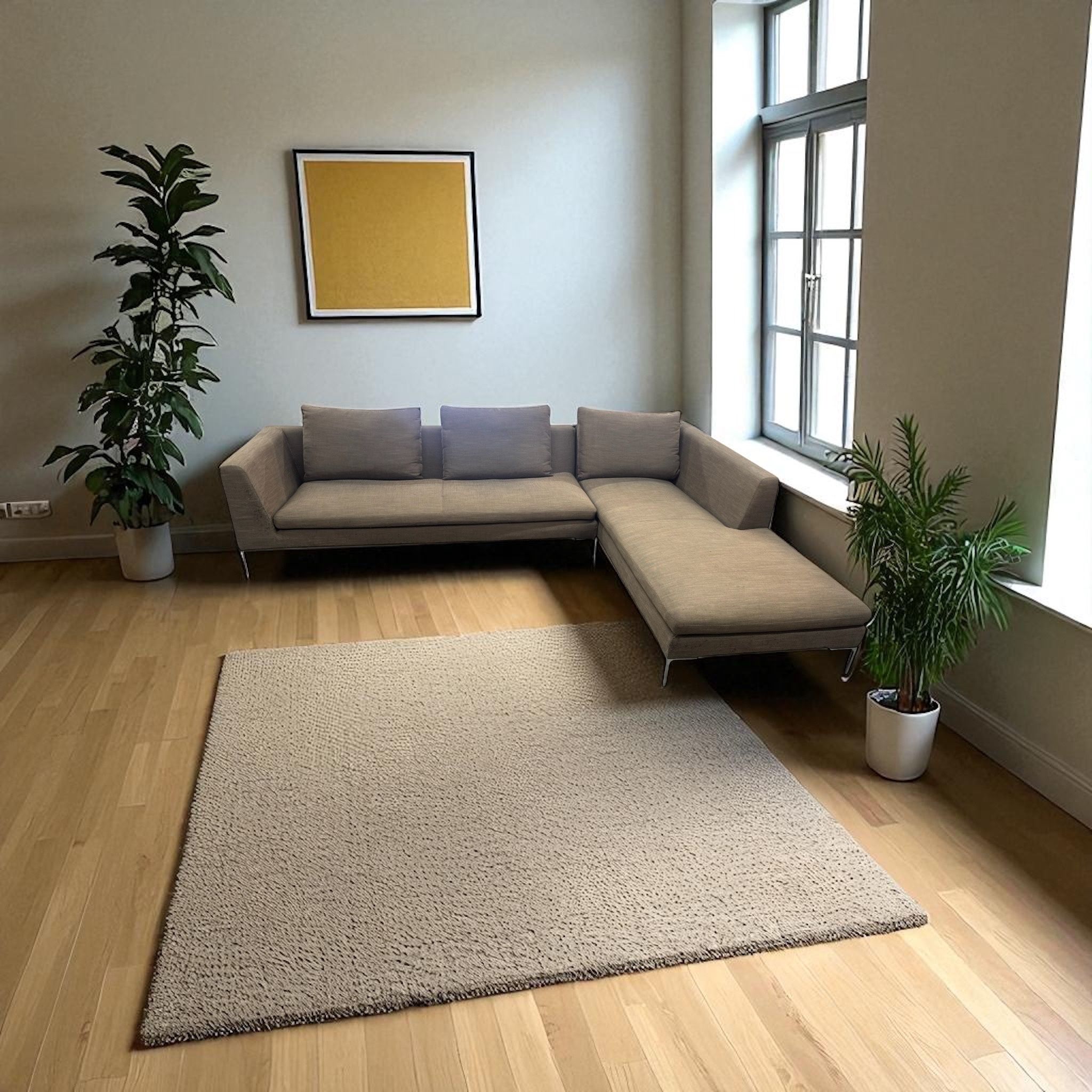 Sectional Couch (WE DELIVER)