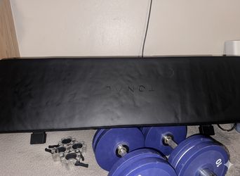 Weights & Bench