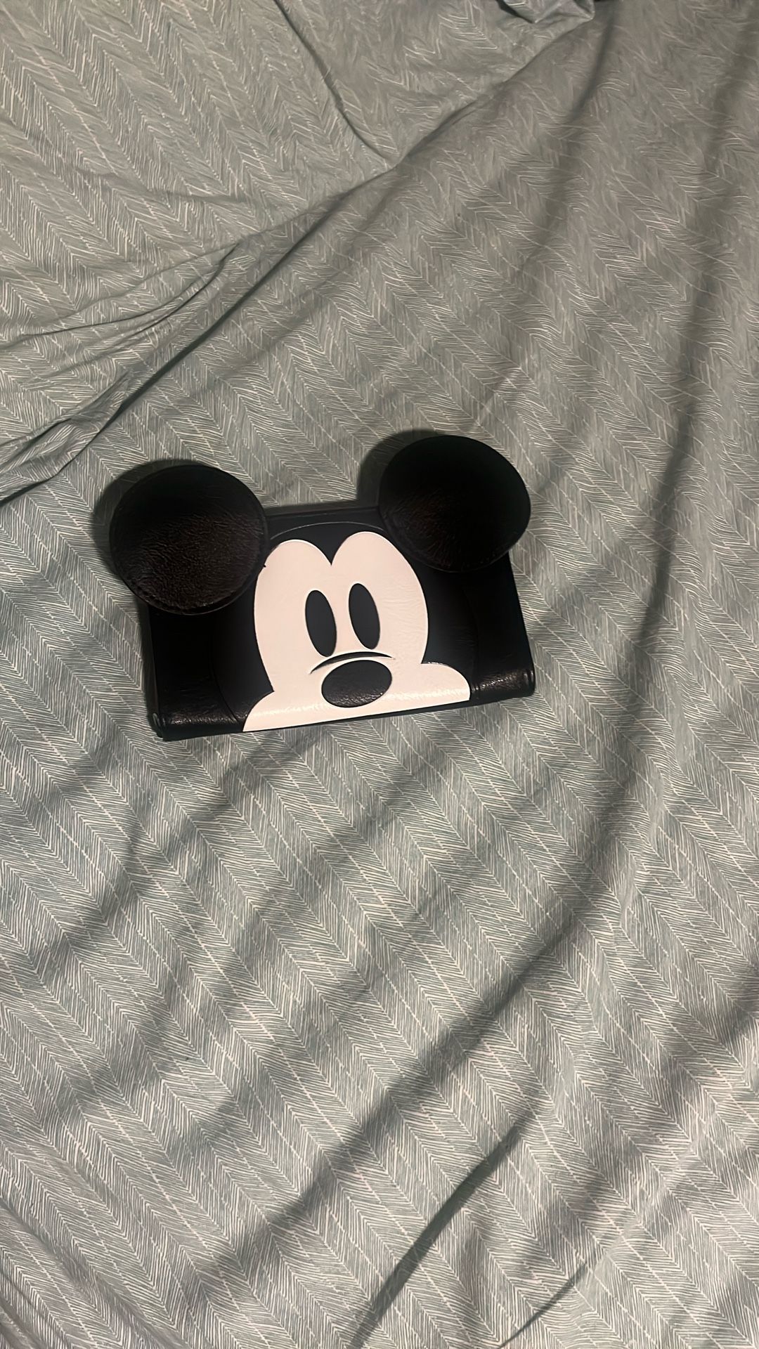 Mickey Mouse wallet