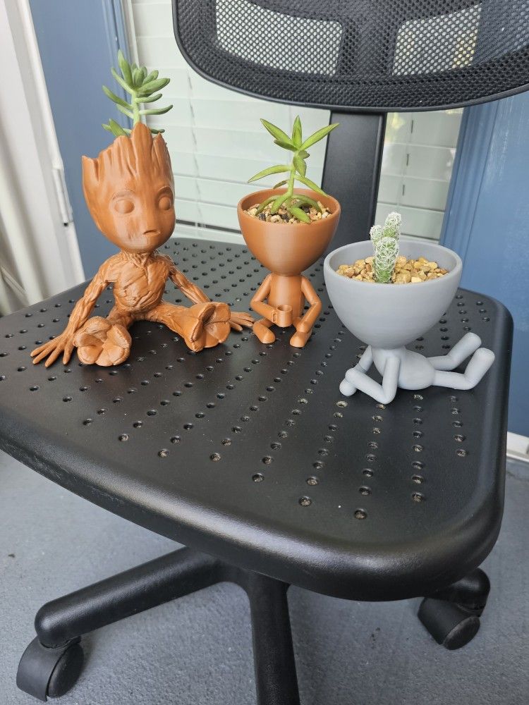 Succulent Set