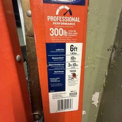 6ft werner Ladder Double Side