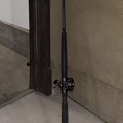 Shimano Fishing Rod