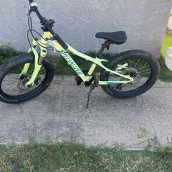 SPECIALIZED