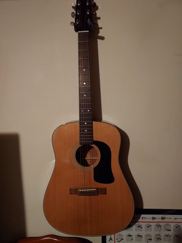 Washburn Acoustic Guitar