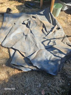 Free old pond liner