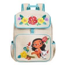 Disney Backpack and Lunchbox