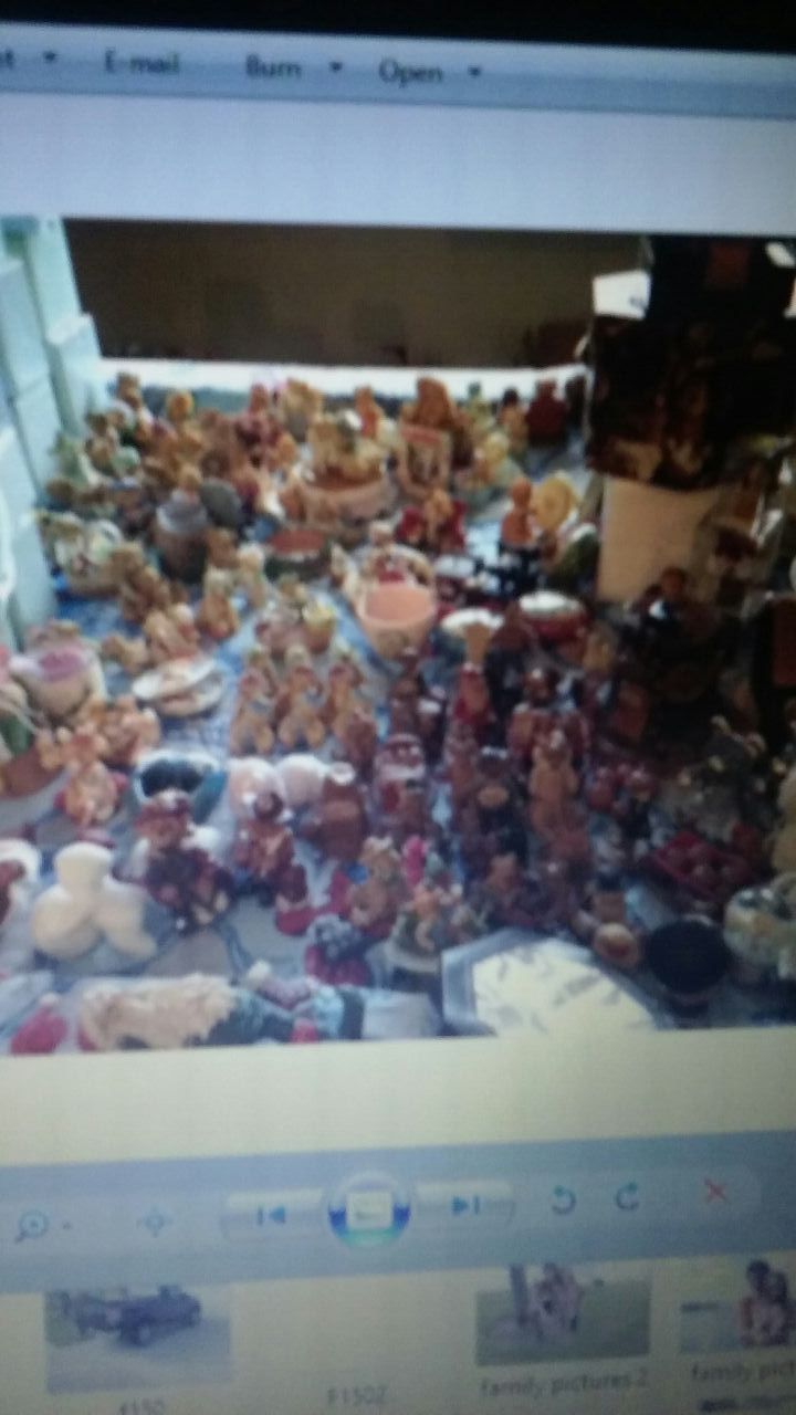 Bear collection